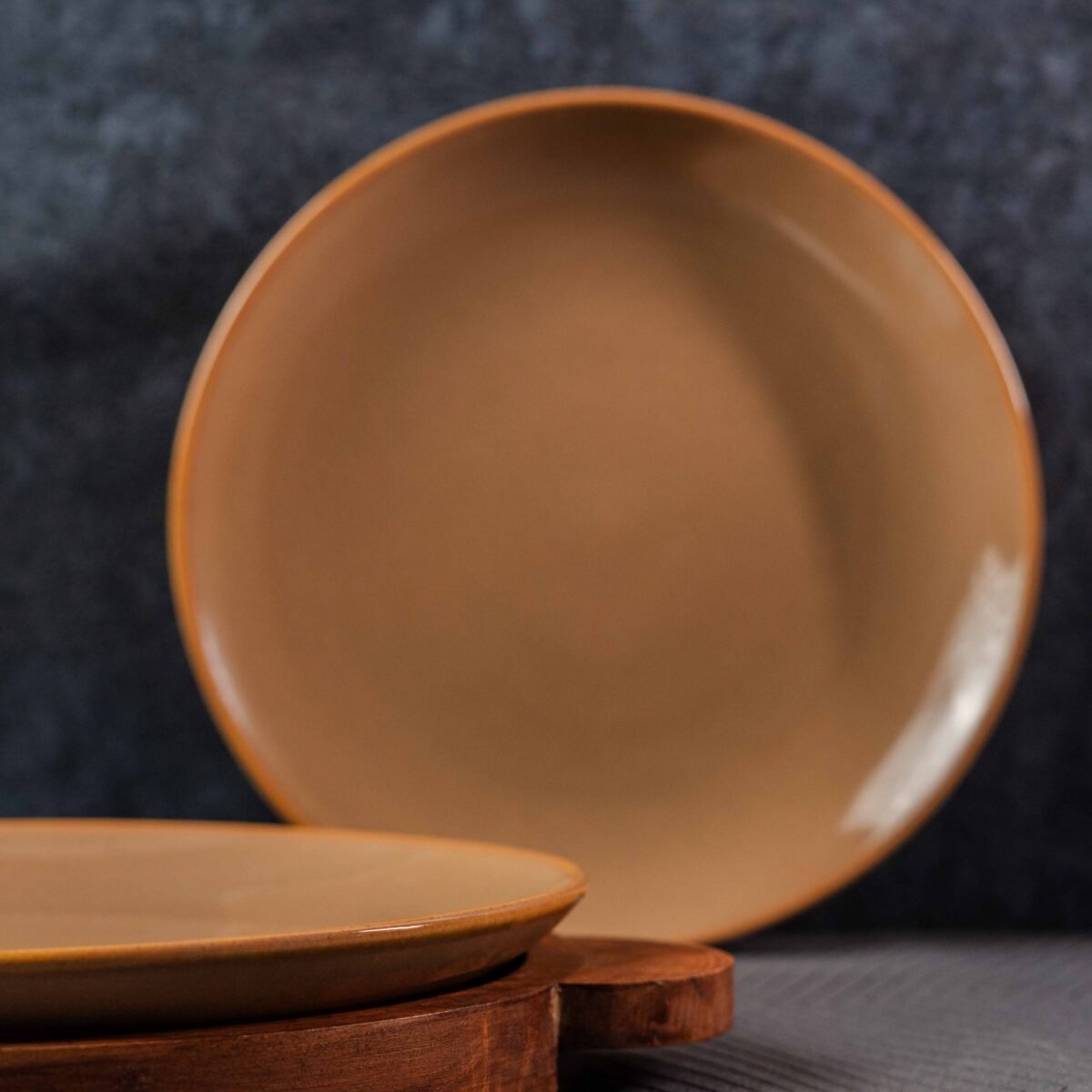 luxury ceramic dinner plates