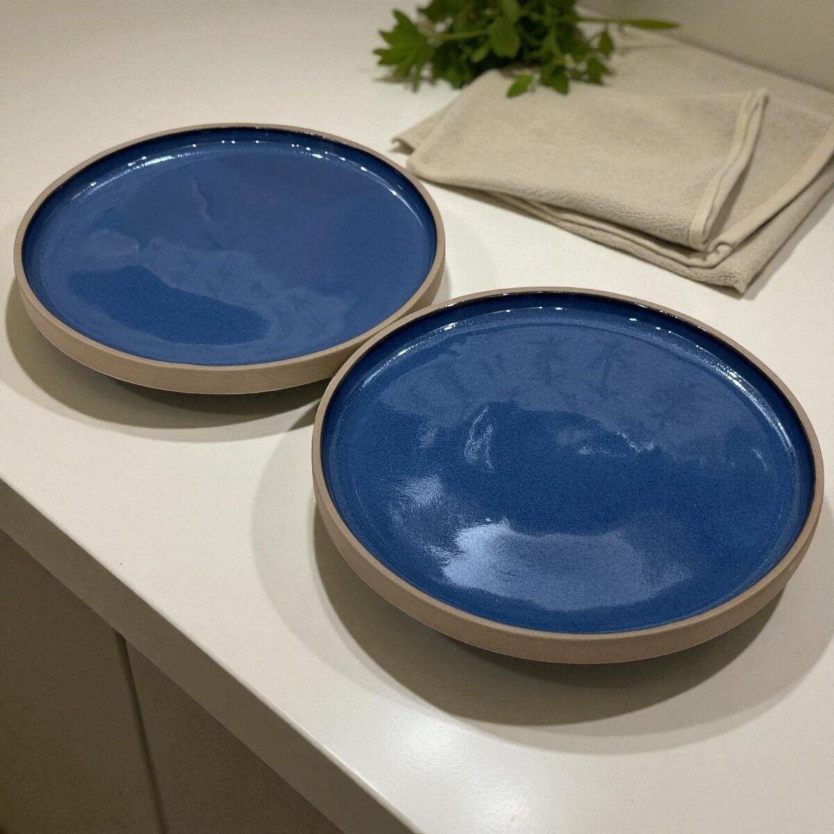Calm Blue Stone Ceramic Plates with Rim – (10 Inches, Set of 2)