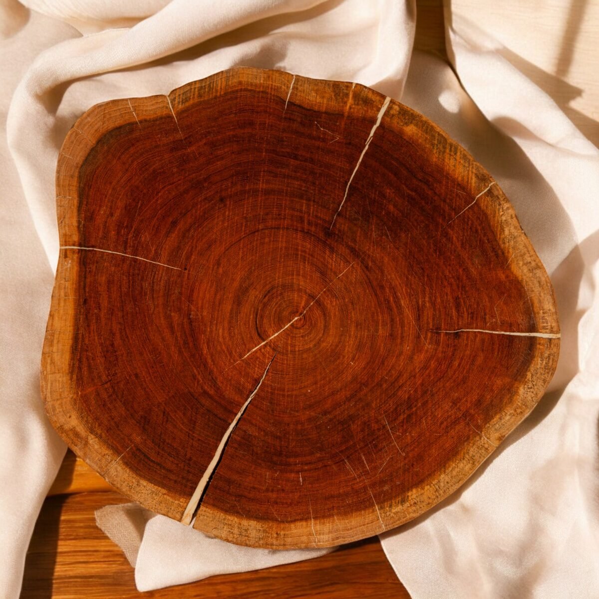 Harmiche Terra Slice Table – Handcrafted Natural Wood Top with Geometric Metal Base | Luxury Accent & Coffee Table