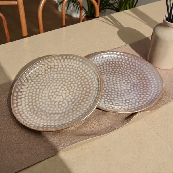 Harmiche Graphite Pebble Ceramic Dinner Plates (Set of 2) – 10 Inch Large Main Course Plates