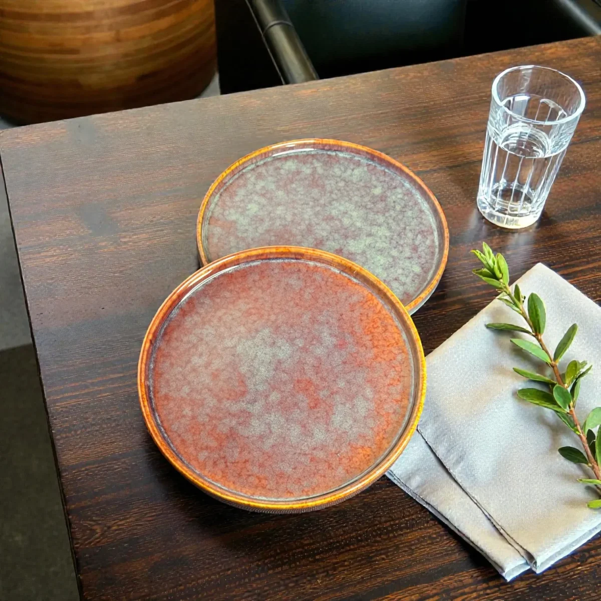 Harmiche Ember Moss Ceramic Dinner Plates with Rim (Set of 2) – 10 Inch Main Course Plates